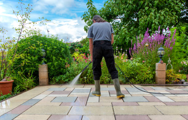 Best Sidewalk and Walkway Cleaning  in Carlin, NV