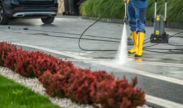 Best Driveway Pressure Washing  in Carlin, NV